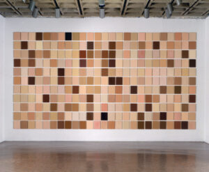 Byron Kim, "Synecdoche" (1991-present), Oil and wax on panel.